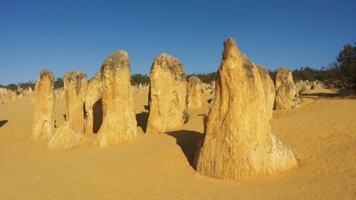 Pinnacles im Nambung Nationalpark nördlich von Perth in Western Australia