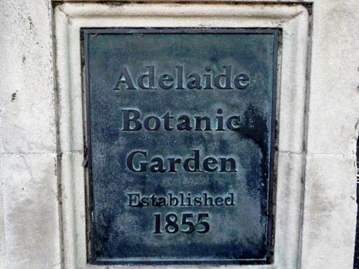Adelaide City Botanischer Garten Botanic Garden